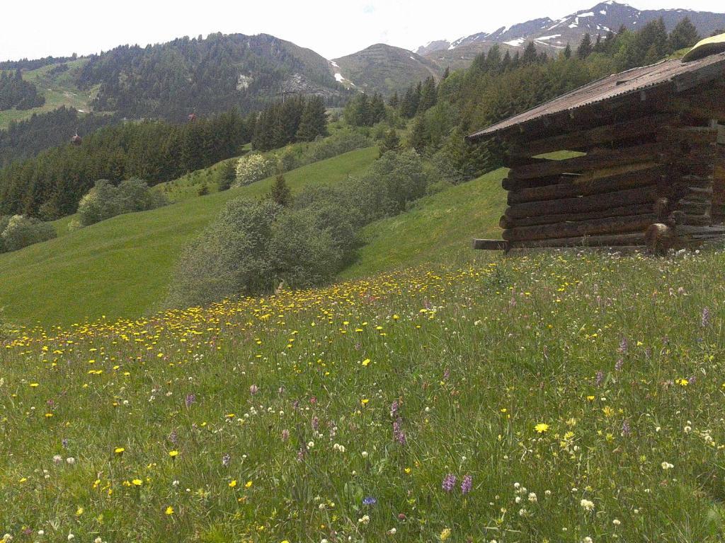 Apart Panoramablick Kaunerberg Exterior foto